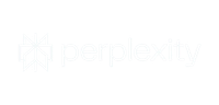 Perplexity